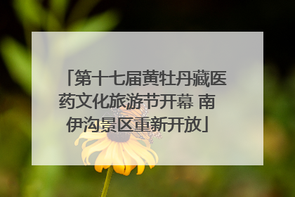 第十七届黄牡丹藏医药文化旅游节开幕 南伊沟景区重新开放