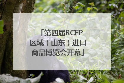 第四届RCEP区域（山东）进口商品博览会开幕