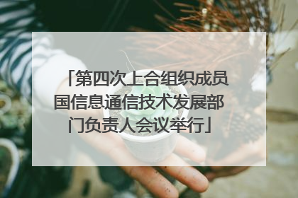 第四次上合组织成员国信息通信技术发展部门负责人会议举行