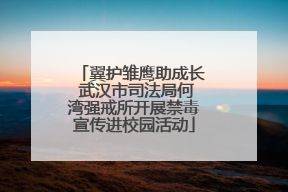 翼护雏鹰助成长 武汉市司法局何湾强戒所开展禁毒宣传进校园活动