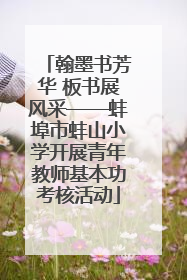 翰墨书芳华 板书展风采——蚌埠市蚌山小学开展青年教师基本功考核活动