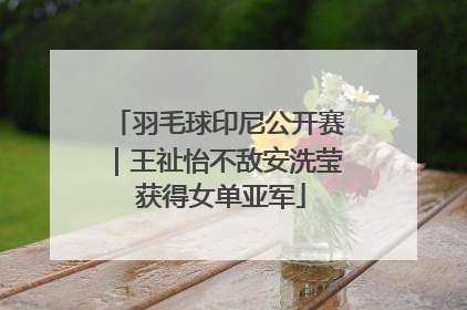 羽毛球印尼公开赛｜王祉怡不敌安洗莹 获得女单亚军