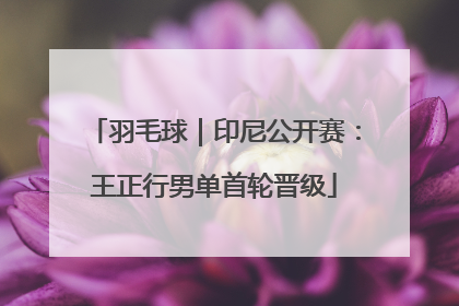 羽毛球｜印尼公开赛：王正行男单首轮晋级