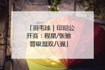 羽毛球｜印尼公开赛：程星/张驰晋级混双八强