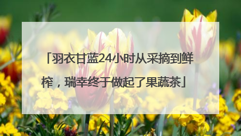 羽衣甘蓝24小时从采摘到鲜榨，瑞幸终于做起了果蔬茶