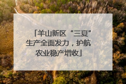 羊山新区“三夏”生产全面发力，护航农业稳产增收