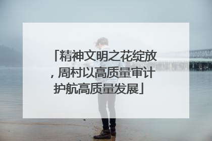 精神文明之花绽放，周村以高质量审计护航高质量发展