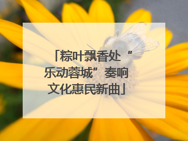 粽叶飘香处“乐动蓉城”奏响文化惠民新曲