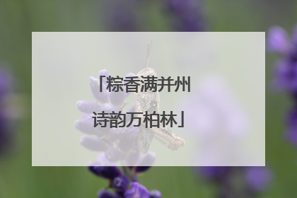 粽香满并州 诗韵万柏林