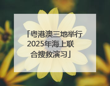 粤港澳三地举行2025年海上联合搜救演习