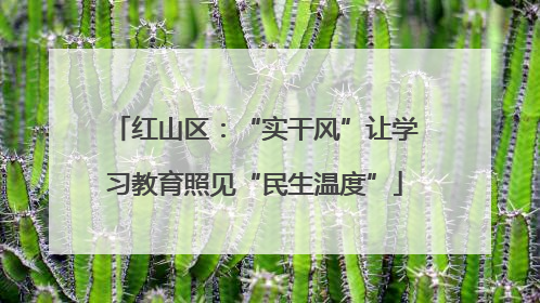 红山区：“实干风”让学习教育照见“民生温度”