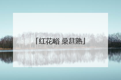 红花峪 桑葚熟