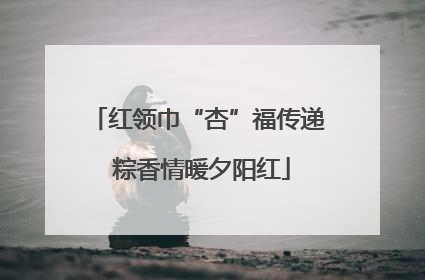 红领巾“杏”福传递 粽香情暖夕阳红