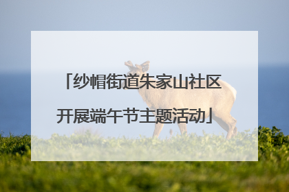 纱帽街道朱家山社区开展端午节主题活动