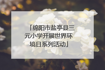 绵阳市盐亭县三元小学开展世界环境日系列活动