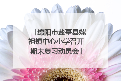 绵阳市盐亭县嫘祖镇中心小学召开期末复习动员会