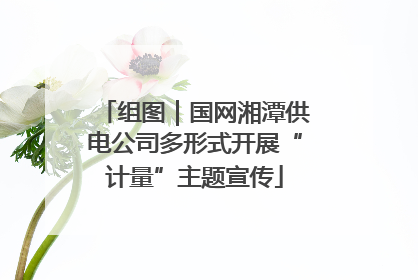 组图｜国网湘潭供电公司多形式开展“计量”主题宣传