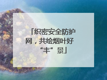 织密安全防护网，共绘烟叶好“丰”景