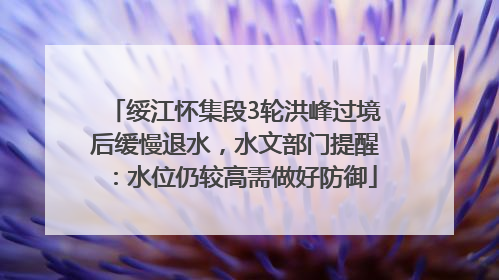 绥江怀集段3轮洪峰过境后缓慢退水，水文部门提醒：水位仍较高需做好防御