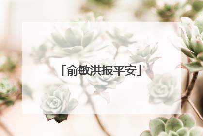 俞敏洪报平安