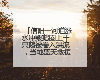 信阳一河道涨水冲毁鹅圈上千只鹅被卷入洪流，当地蓝天救援队一小时赶鹅上岸
