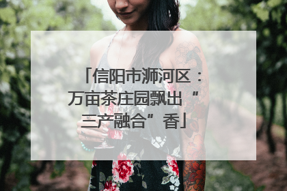 信阳市浉河区：万亩茶庄园飘出“三产融合”香