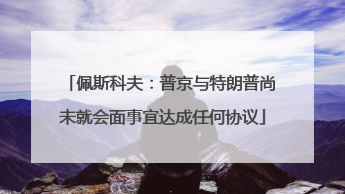 佩斯科夫：普京与特朗普尚未就会面事宜达成任何协议