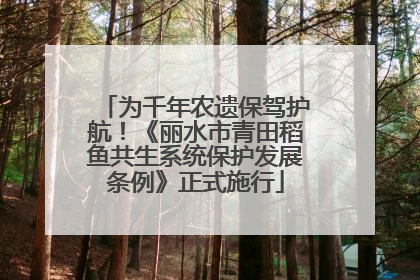为千年农遗保驾护航！《丽水市青田稻鱼共生系统保护发展条例》正式施行