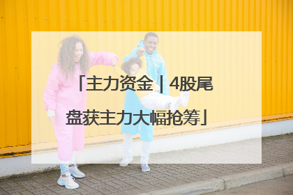 主力资金｜4股尾盘获主力大幅抢筹
