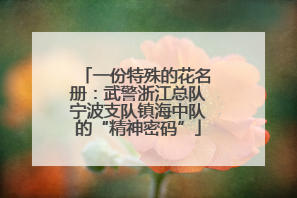 一份特殊的花名册：武警浙江总队宁波支队镇海中队的“精神密码”