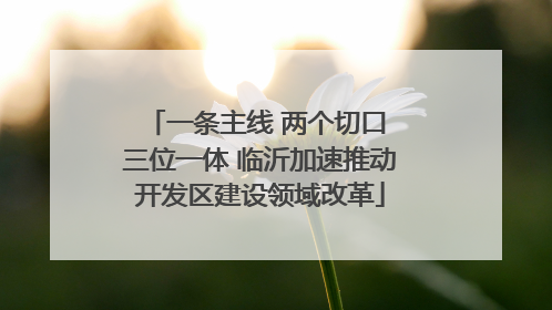 一条主线 两个切口 三位一体 临沂加速推动开发区建设领域改革