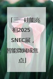 三一硅能亮相2025 SNEC展，智能微网成焦点