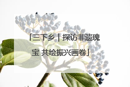 三下乡｜探访非遗瑰宝 共绘振兴画卷