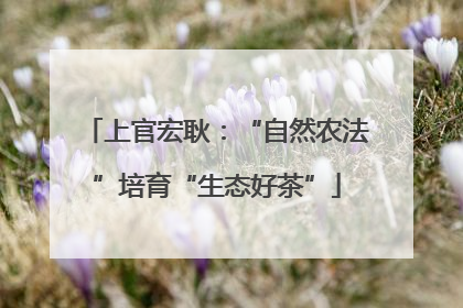 上官宏耿：“自然农法”培育“生态好茶”
