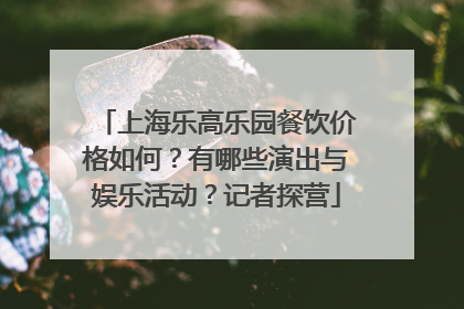 上海乐高乐园餐饮价格如何？有哪些演出与娱乐活动？记者探营