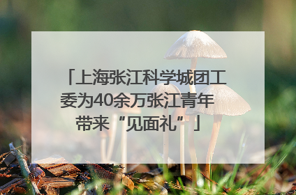 上海张江科学城团工委为40余万张江青年带来“见面礼”