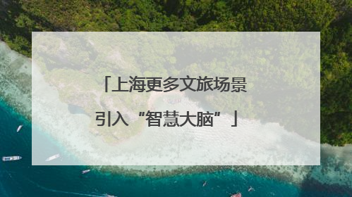 上海更多文旅场景引入“智慧大脑”