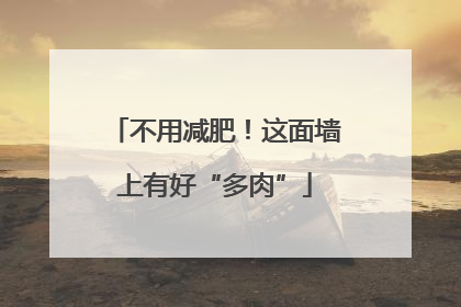 不用减肥！这面墙上有好“多肉”