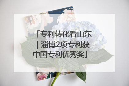 专利转化看山东｜淄博2项专利获中国专利优秀奖