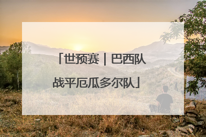 世预赛｜巴西队战平厄瓜多尔队