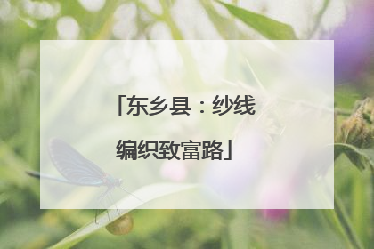 东乡县：纱线编织致富路