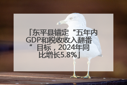 东平县锚定“五年内GDP和税收收入翻番”目标，2024年同比增长5.8%