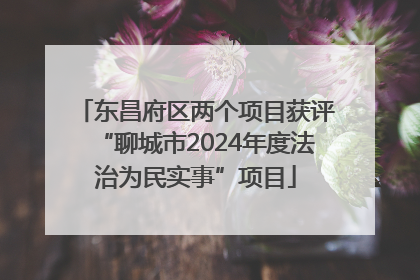 东昌府区两个项目获评“聊城市2024年度法治为民实事”项目