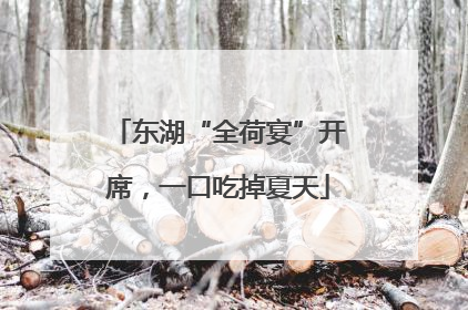 东湖“全荷宴”开席，一口吃掉夏天