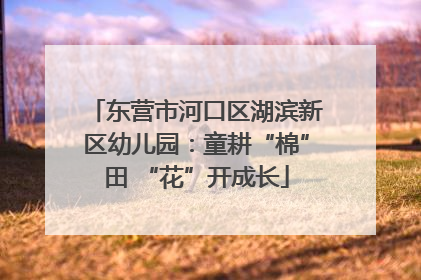 东营市河口区湖滨新区幼儿园：童耕“棉”田 “花”开成长