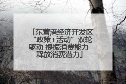 东营港经济开发区“政策+活动”双轮驱动 提振消费能力 释放消费潜力