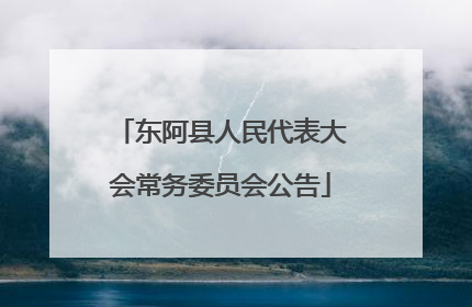东阿县人民代表大会常务委员会公告