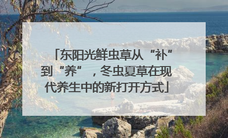 东阳光鲜虫草从“补”到“养”，冬虫夏草在现代养生中的新打开方式