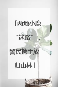 两地小鹿“迷路”，警民携手放归山林