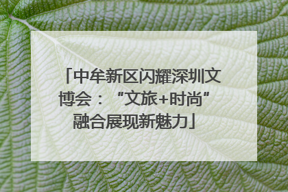中牟新区闪耀深圳文博会：“文旅+时尚”融合展现新魅力
